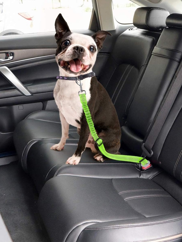 Cinturón de seguridad para auto con resorte